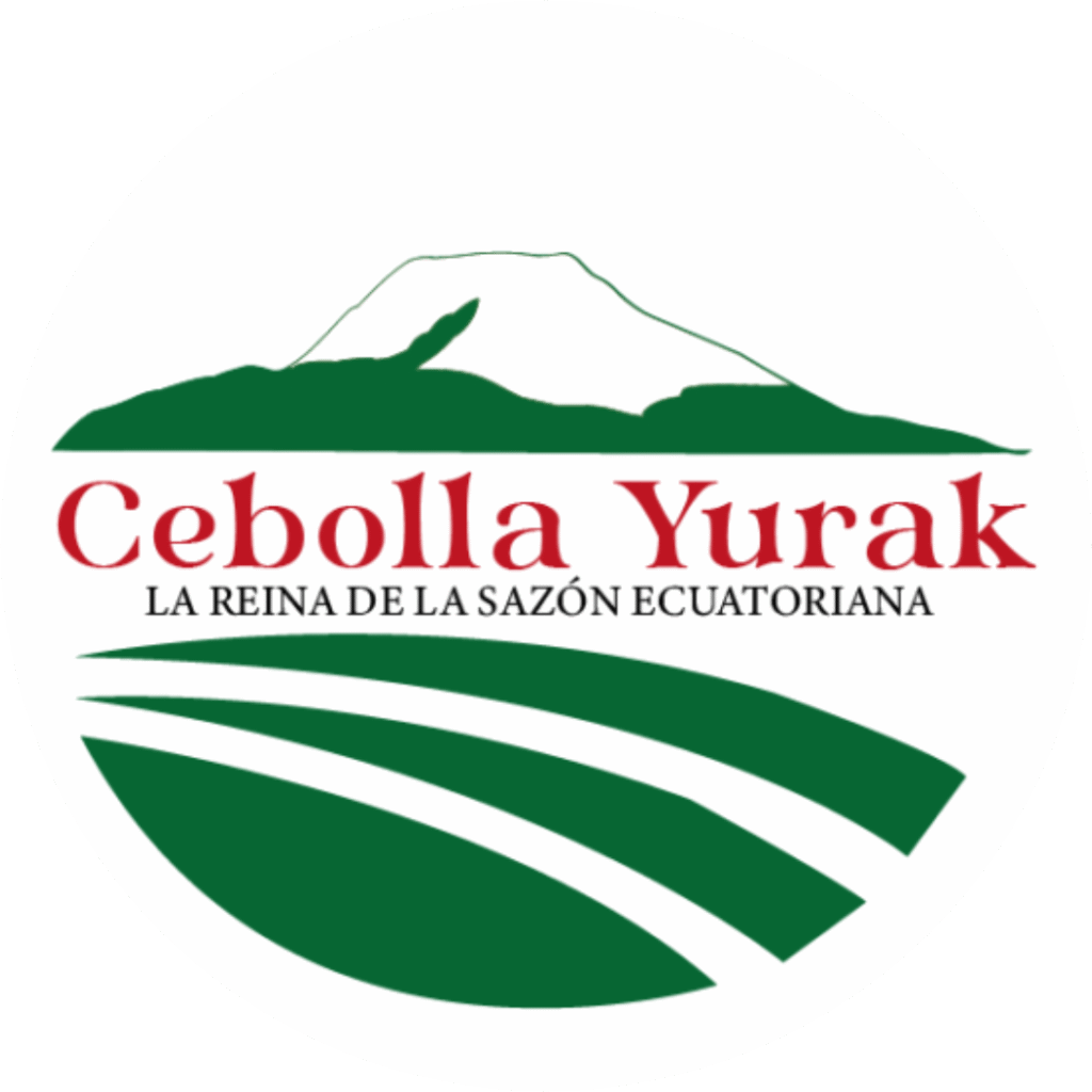 Cebolla Yurak - Cebolla blanca de alta calidad